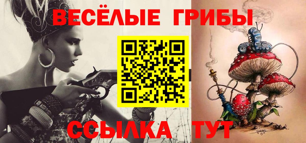 Псилоцибиновые грибы прущие грибы Боровичи