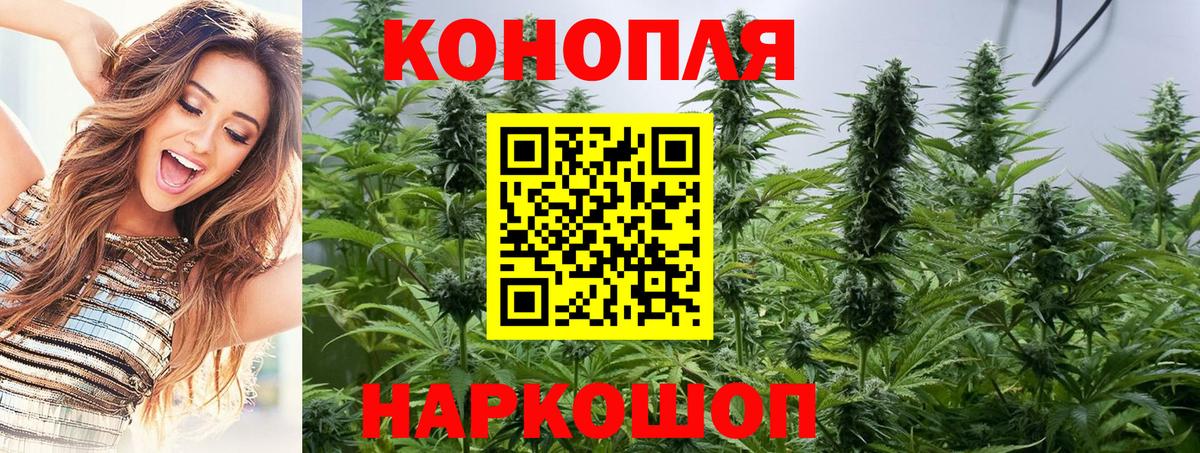 Бошки марихуана планчик  Шишки марихуана Ganja  Вход с VPN  Шишки марихуана LSD WEED  Боровичи  Бошки марихуана тримм 